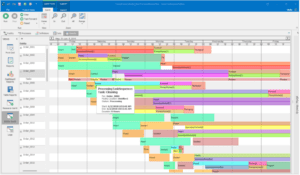 Figure 7: Example Gantt Chart Showing Detail Tasks